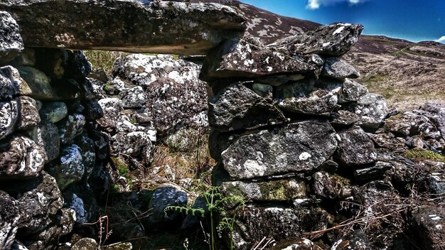 写真 森の古い石の壁