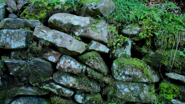 Old Stone Wall Lined With Mossy Stones