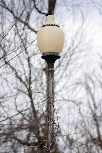 Photo old street lamp