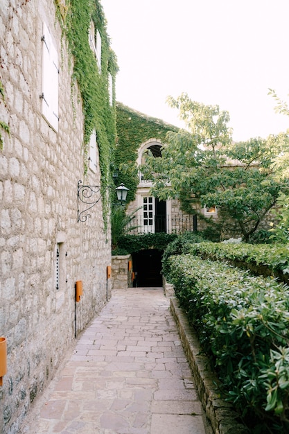 Vecchia strada nel centro storico pavimentato con pietre per lastricati edifici in cespugli di edera e alberi antichi