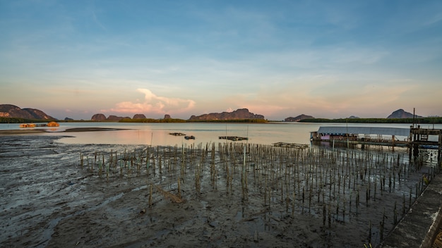 Old Structure In Mud Sea