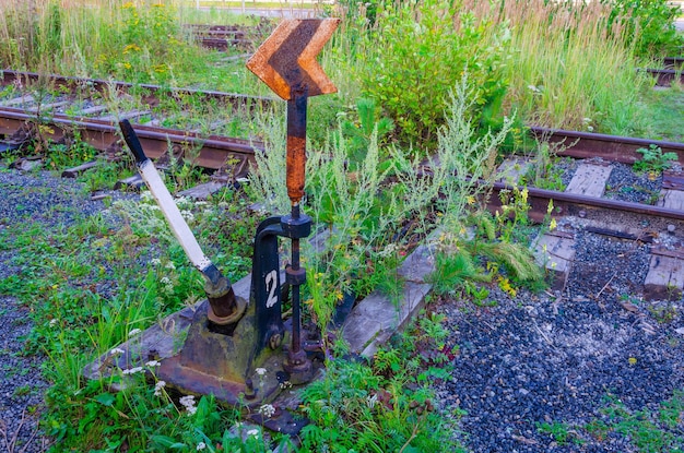 An old switchboard among the grass.