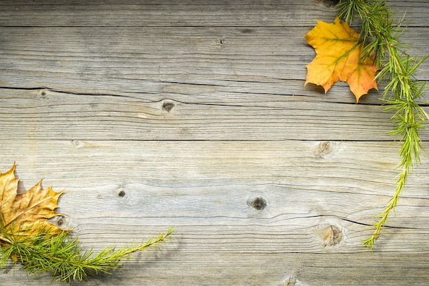 Old table with autumn and winter natural elements