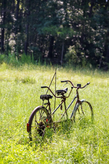 Old tandem bicycle on Southern farm.