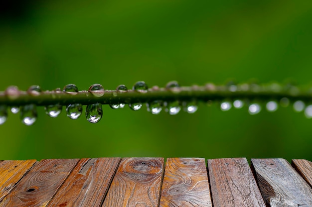 Old teak wood empty table for product display in front of morning dew freshness on the plant branch