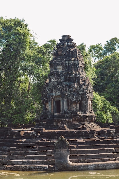 写真 晴れた日に樹木に囲まれた古い寺院