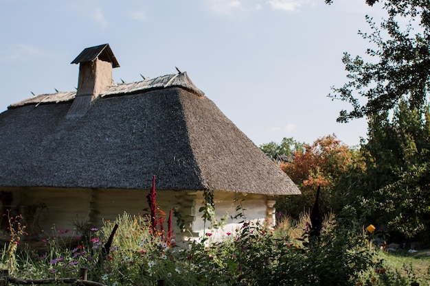 Old thatched cottage in the forest