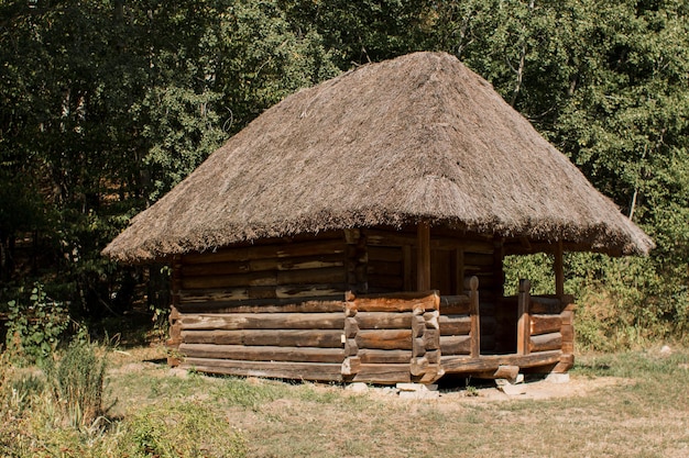 Old thatched house in the forest