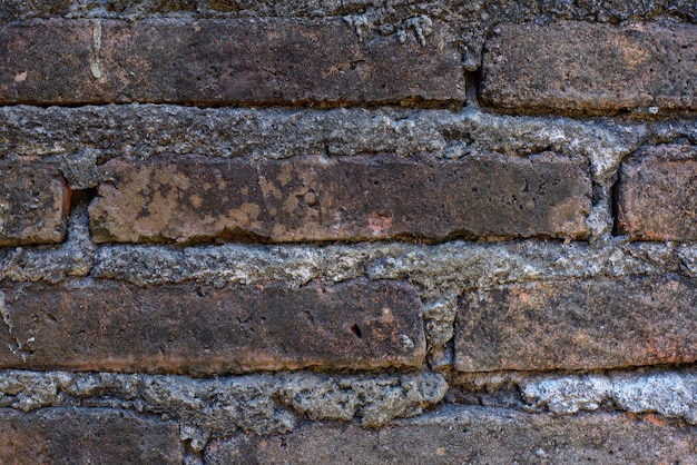 Old thin red brick wall Close up Textured background