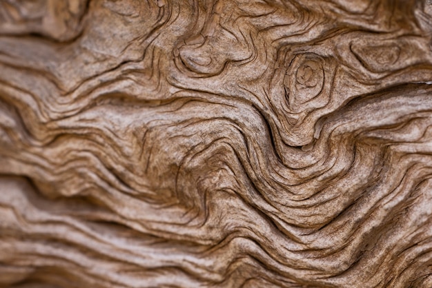 Old timber texture close up