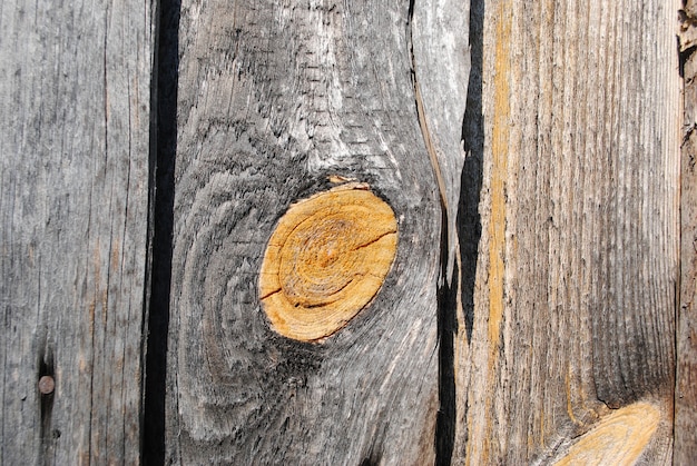 Old, time-blackened planks with yellow knots Tar, lit the spring sun