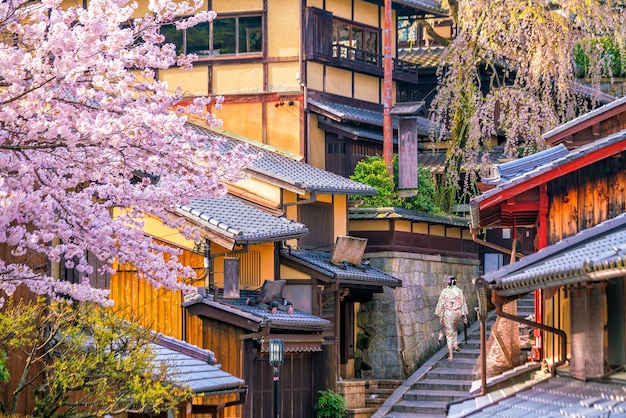 Old town Kyoto, the Higashiyama District during sakura season in Japan