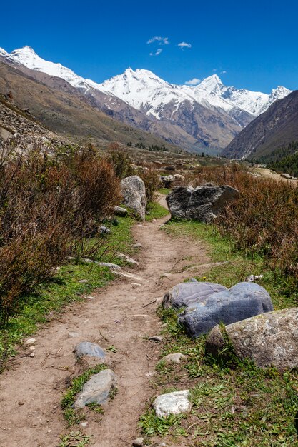 Old trade route to Tibet from Sangla Valley. Himachal Pradesh, India