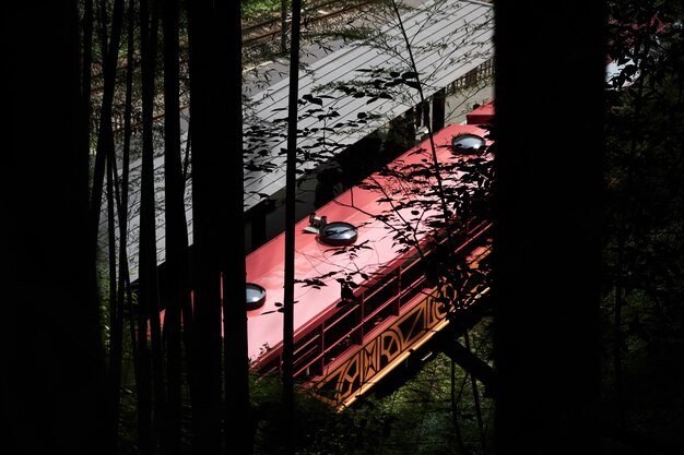 京都の竹林からの古い電車