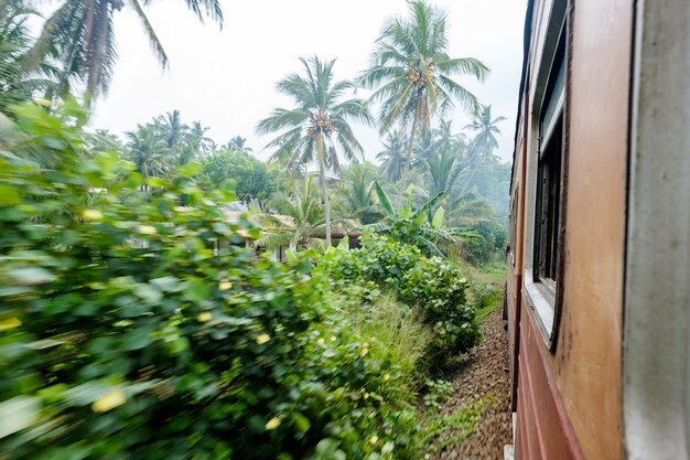 Vecchio treno in movimento attraverso il lato del paese in una giornata di sole in sri lanka.