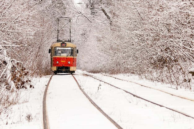 Старый трамвай едет по зимнему лесу