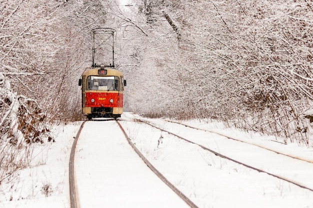 An old tram moving through a winter forest