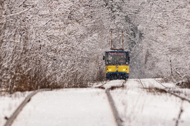 An old tram moving through a winter forest