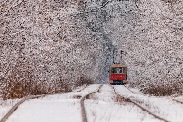 An old tram moving through a winter forest