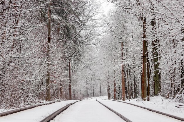 An old tram moving through a winter forest