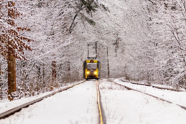 An old tram moving through a winter forest