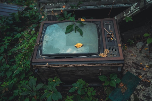 The old tv was thrown into the street the soviet tv was\
overgrown with grass