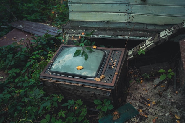 The old tv was thrown into the street the soviet tv was\
overgrown with grass