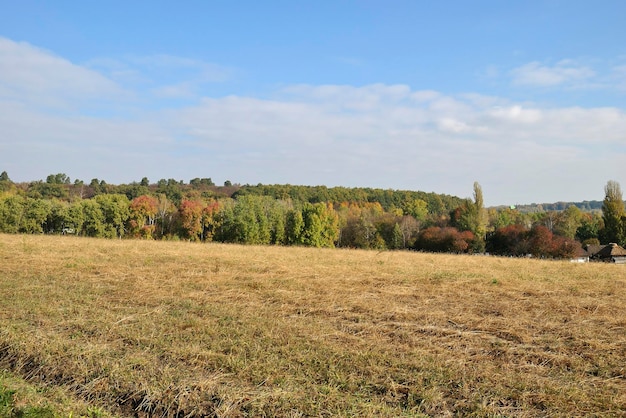 Old Ukrainian village autumn mowed field