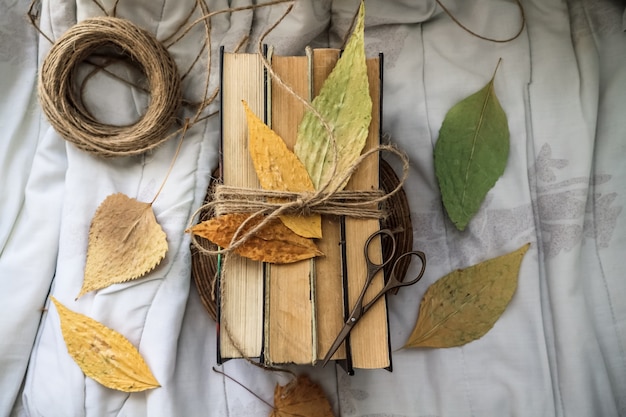 Old vintage books and autumn leaves on a light background