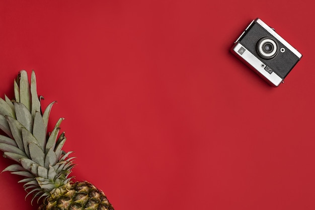 Old vintage camera and ripe pineapple