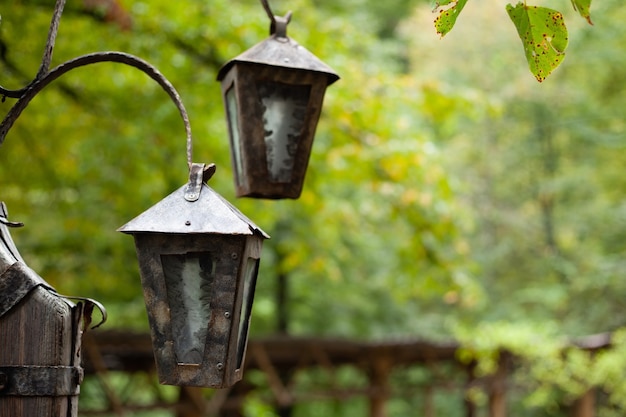 Old vintage lantern in the forest