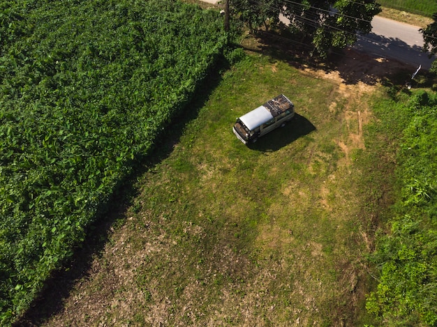 An old vintage van next to green rice field