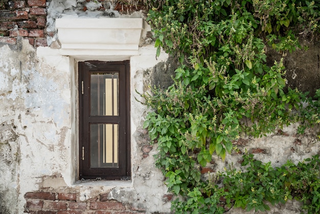 old and vintage window 