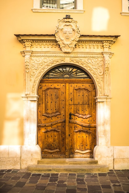 Old vintage wooden with metal door of classical europe