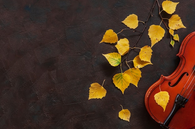 Old violin and birch branch with yellow autumn leaves. 