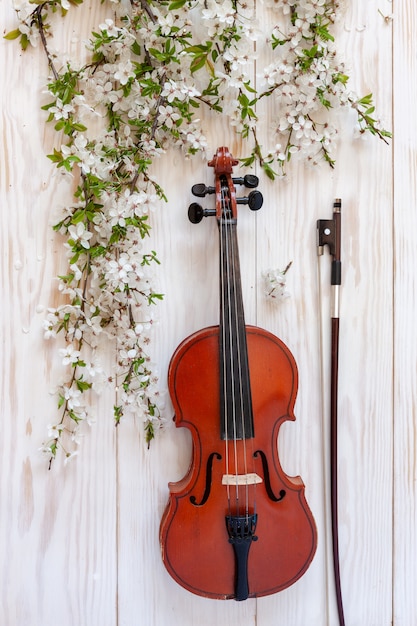 Old violin with fiddlestick and blossoming cherry tree branches