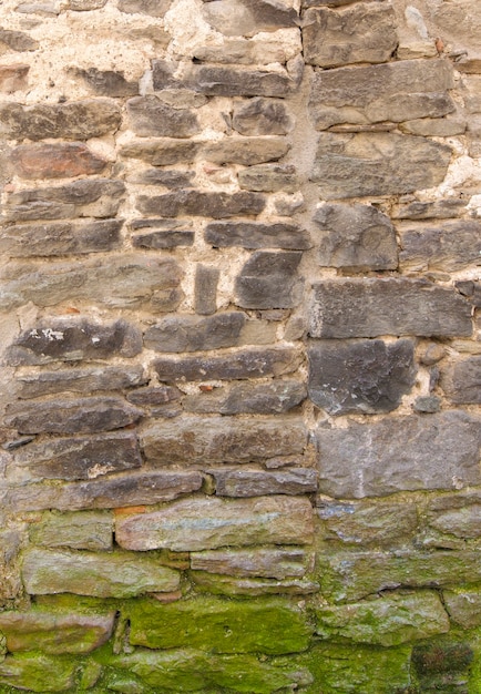 The old wall bricks