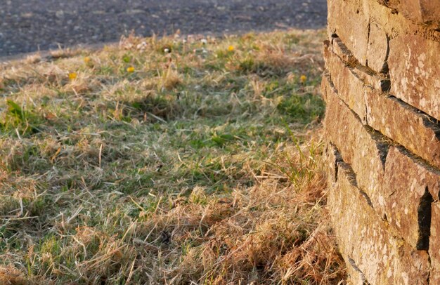 Photo old wall and grass street photo background