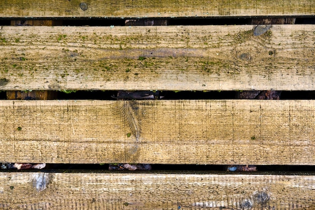 Foto le vecchie tavole bagnate sono ricoperte di muschio