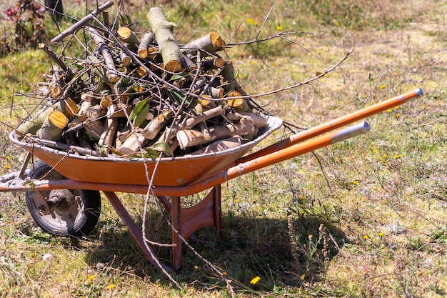 An old wheelbarrow full of firewood ready for winter