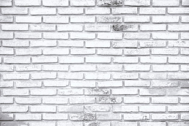 Photo old white brick wall texture backgrounds for design