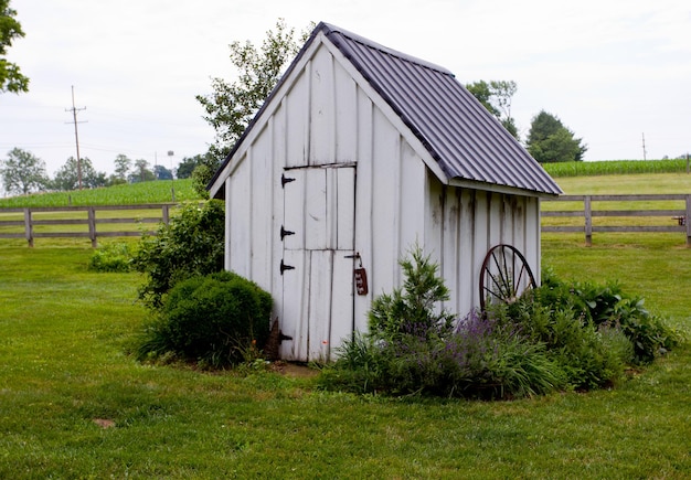 Old white house on farmland