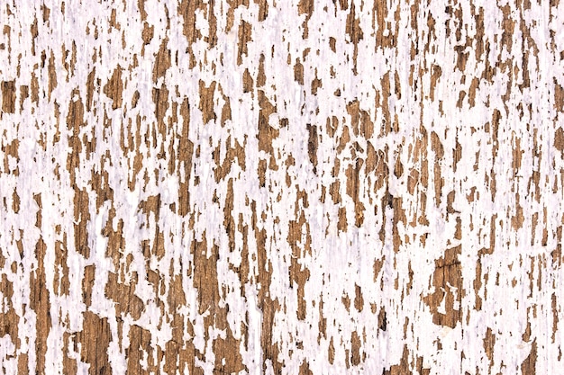 Old white wooden texture