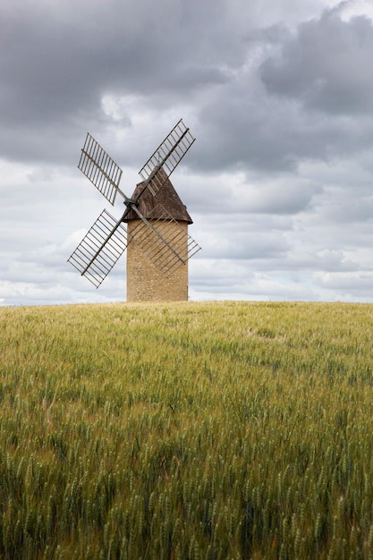 Foto vecchio mulino a vento e campo di grano