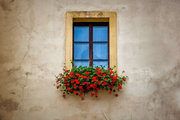 Old window frame with flower box