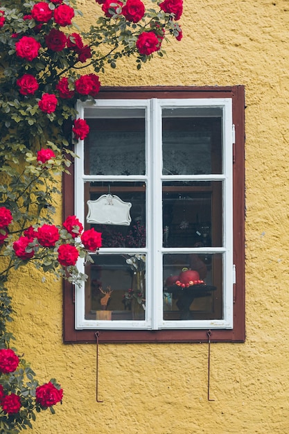 赤いバラの装飾を登る黄色い壁を持つ家の古い窓