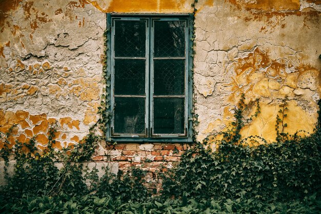 Old window rusty wall