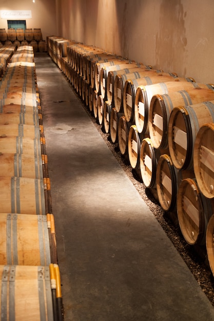 Old wine Barrels