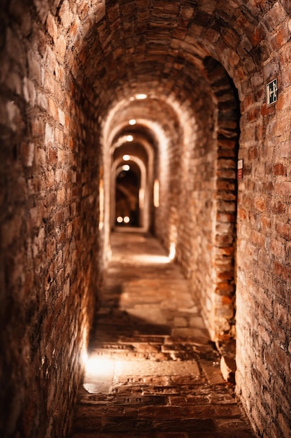 Old wine bottles dusting in an underground tratitional cellar Small and old wine cellar with full wine bottles Winery concept Valtice Castle in South Moravia Czech Republic Europe