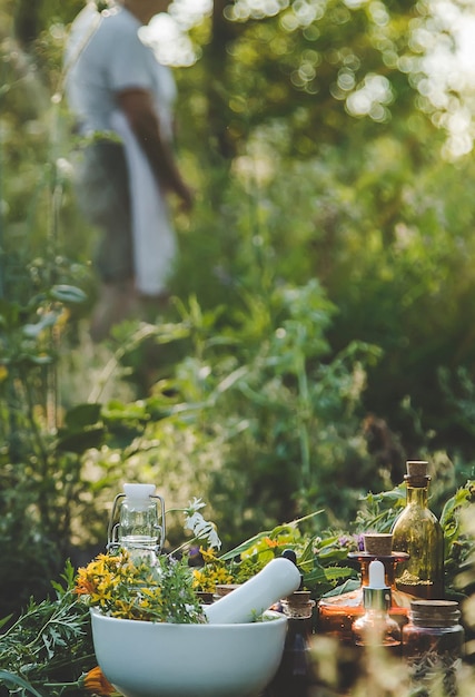 An old woman collects medicinal herbs selective focus